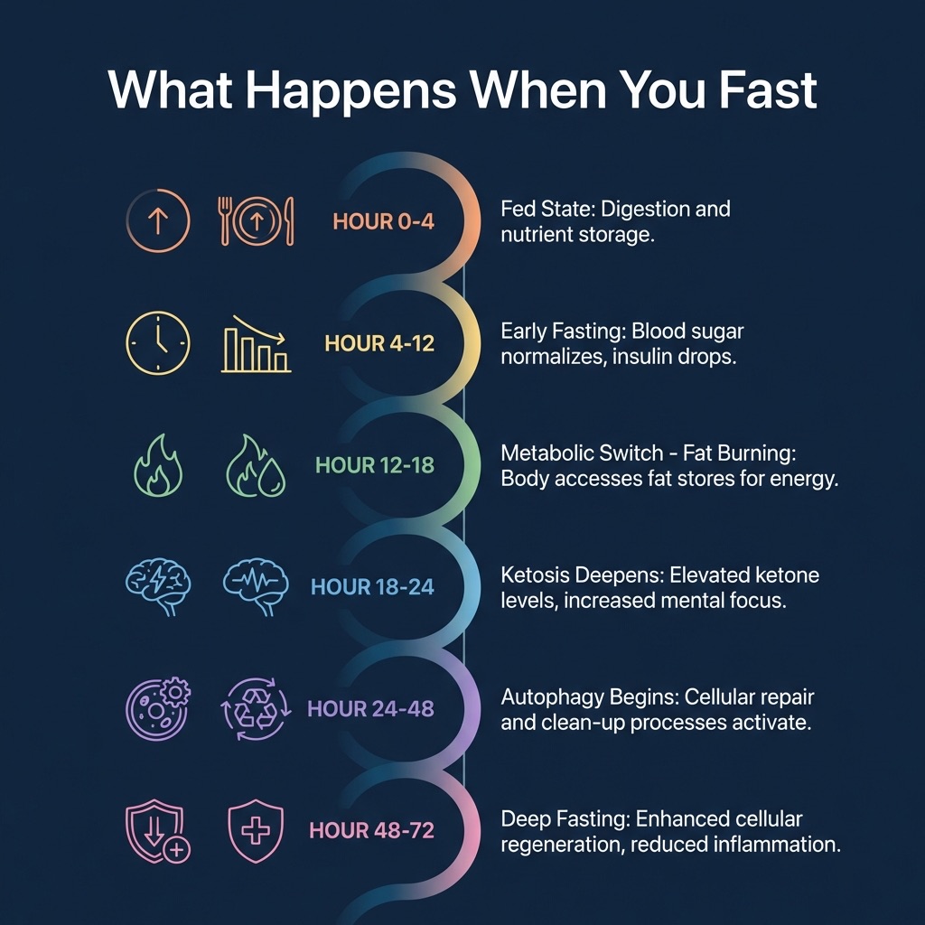 The Science of Fasting Zones (Without the PhD)